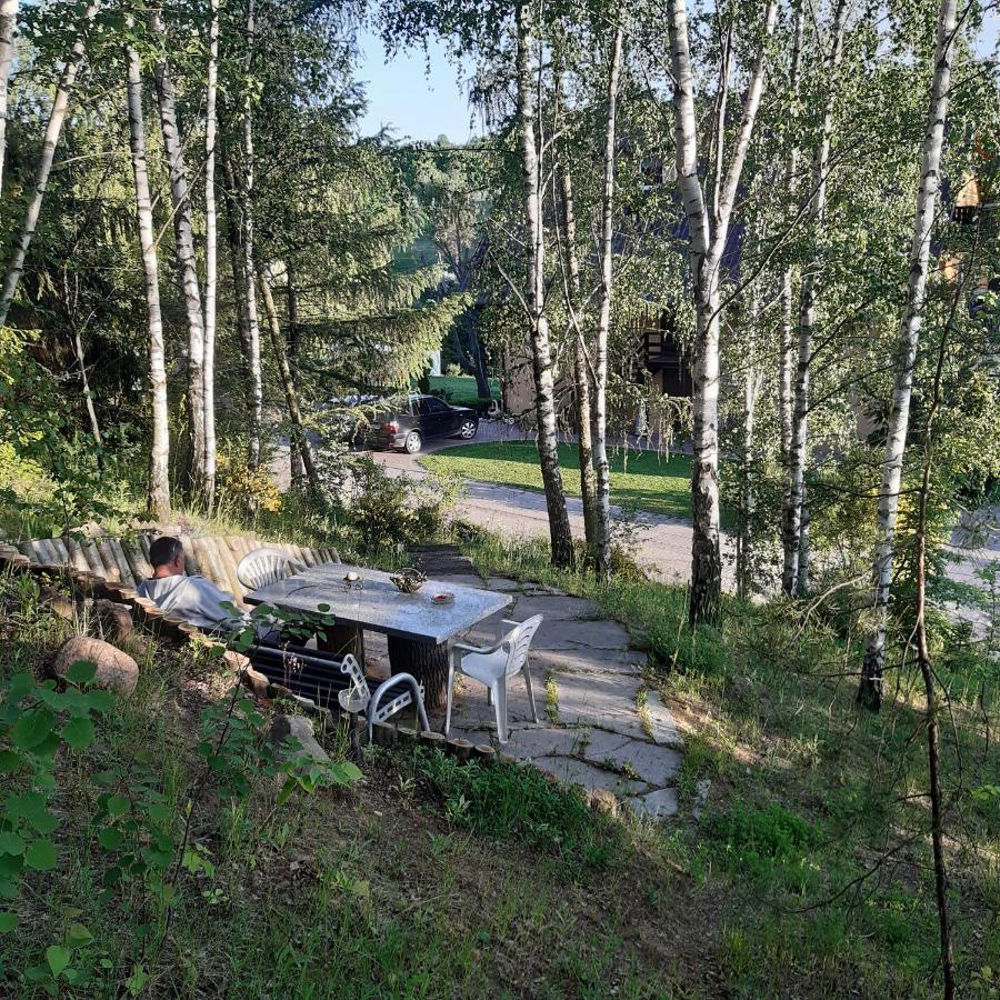 Agroturystyka Brzozowe Wzgorze Wlen Екстериор снимка